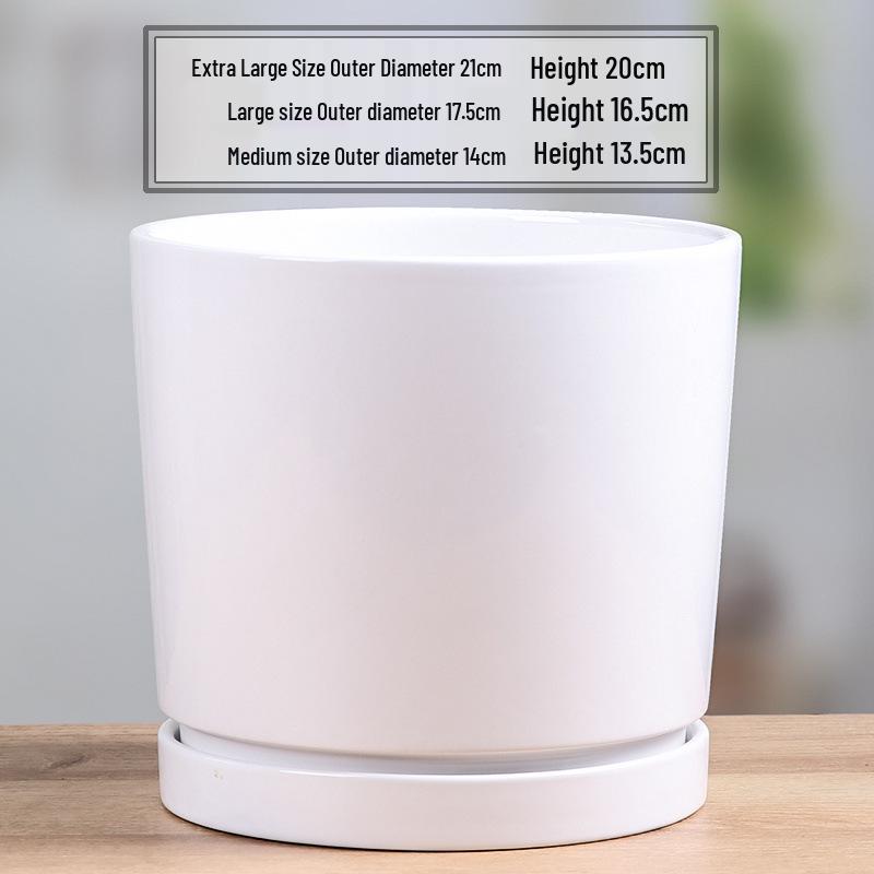Simple White Ceramic Flower Pot with Base for Indoor Plants - Available in Large and Extra Large