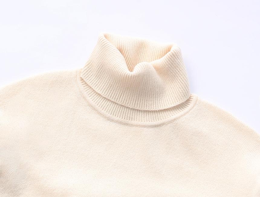 Beullumeol Pbt Wool Turtleneck Knit - Ivory