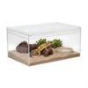 Roomajad – Roomajate terraariumid