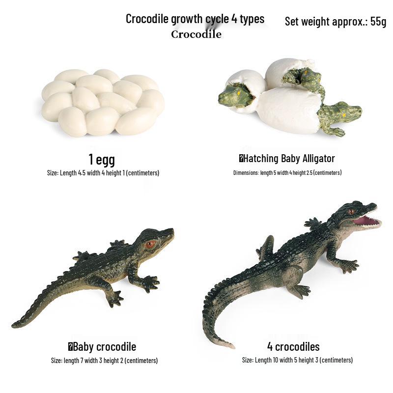Crocodile Animal Model Toy: Caiman, Gharial, Nile Crocodile, Wild Boar, Deinosuchus - Kids' Educational Ornament