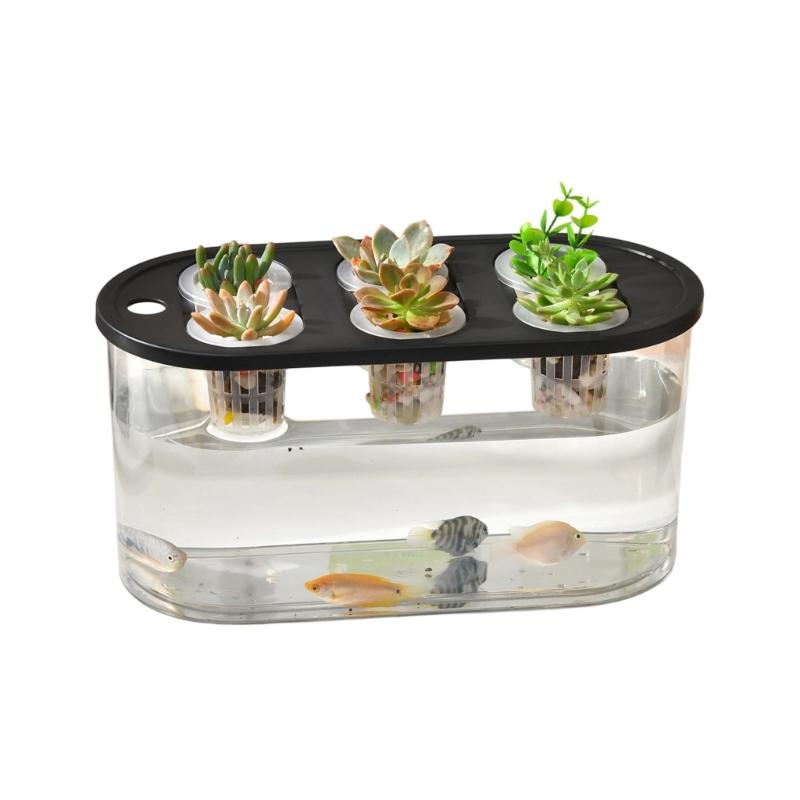 

Multiple Use Water Culture Box For Hydroponic Tulips Bean Sprout Succulents And Various Plant In Homes Gardening чорний