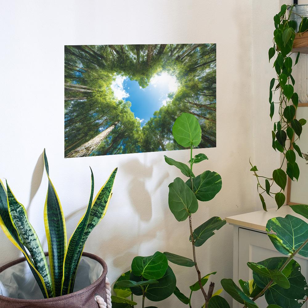 Adesivos de Decoração de Parede de Fundo Sky Home em Formato de Coração Sob a Copa da Floresta
