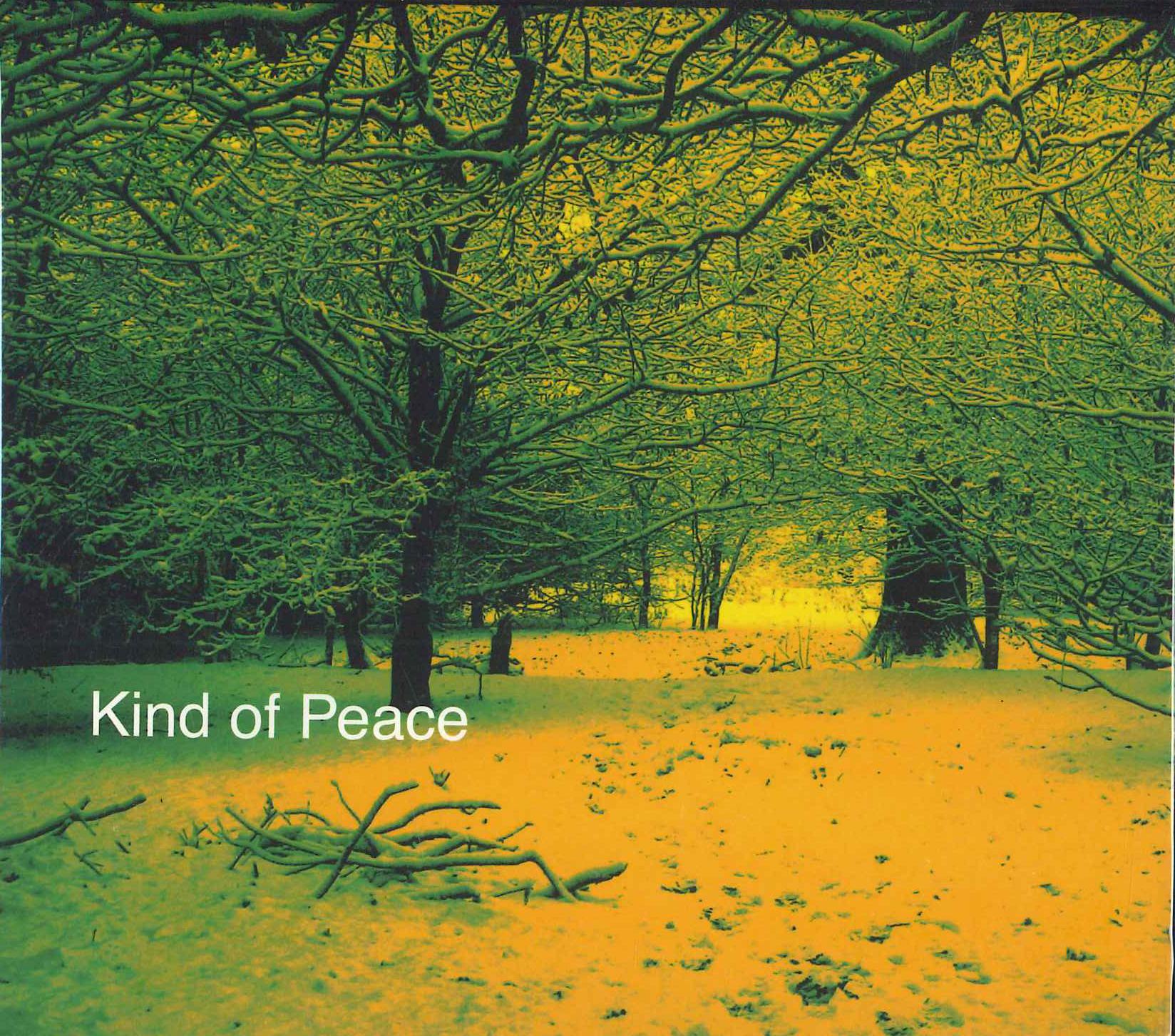 

CD PAT D LADY PARADOX Kind Of Peace PCD93027PROMO PVINE 2007 Japan Rap HipHopRB Used