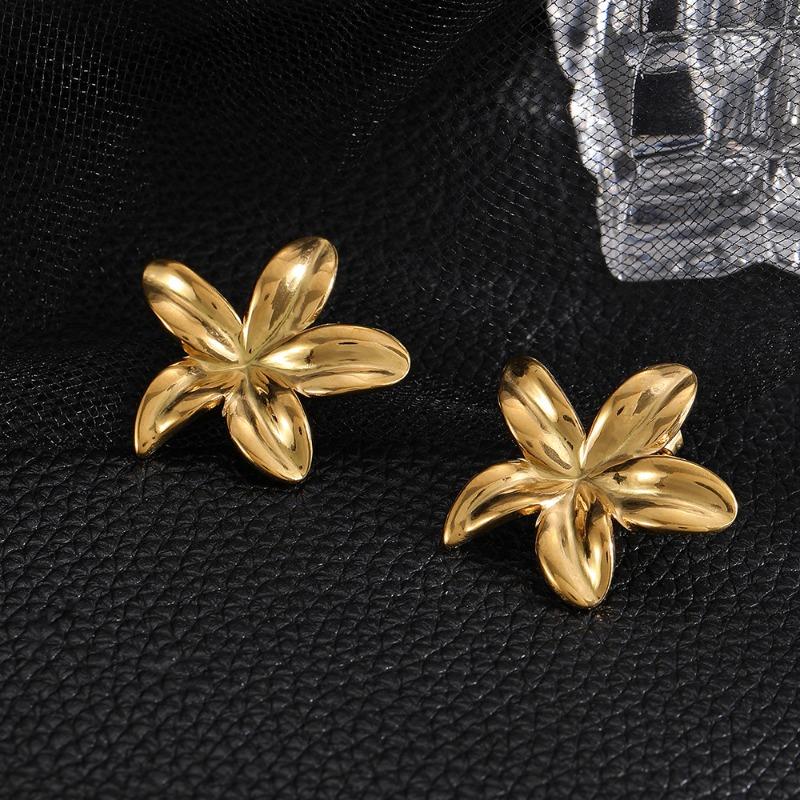 Stainless Steel Stud Earrings, Titanium Steel Statement Earrings, 18k Gold Women's Jewelry, High-end Black Earrings