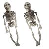 Halloween Movable Skull Skeleton Life Size Full Body Posable Joints Skeletons for Children Girls Boys Party Gift