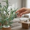 Small Artificial Olive Tree Bonsai, Indoor And Outdoor Olive Tree Decorations