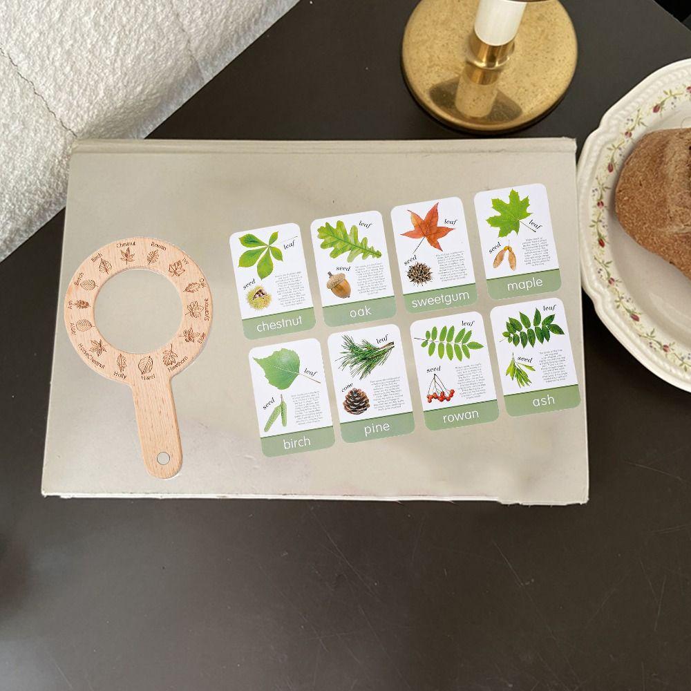Educational Toys Magnifying Glass Toys Wooden Plant Cognition Cards  Parent-Child