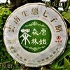 Yiwu Jiao Mu Pu'er Tee Yunnan Rohtee Kuchen Urwald Ökologischer Tee 12,6 Unzen