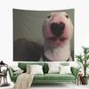 Wall Hanging Tapestry for Room Decor Aesthetic Outdoor Flag Blanket Yoga Funny Peter Dog Meme