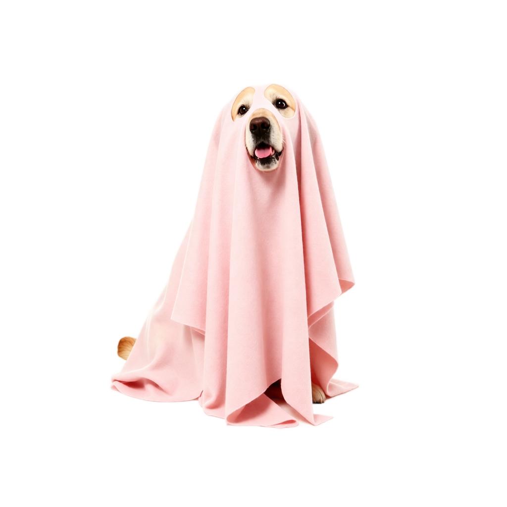 Pet Halloween Cape Costume, 70-100