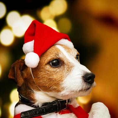 Pet Santa Hat Red Fleece Santa Claus Hat Dog Cat Dress-up Costume for Puppy Kitten Small Cats Dogs Holiday Cosplay Accessory