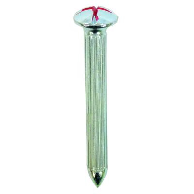 Daidohant Measuring Nails 7mm Diameter X 65mm Neck 15mm Head Pack of for and Gravel Point Marking Point Base 0008214 (Surveying Nails), No. R, Length,