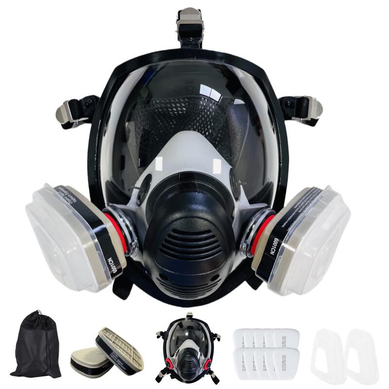 DAXTE Full-Face Respirator Mask Kit