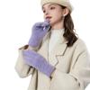New Plush Winter Gloves Warm Knitted Driving Mittens Full Touchable Screen Full Gloves Gift