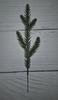 Pe Natural Spruce Branch Pe