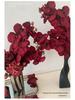 Orquídea Phalaenopsis Roja Flor Artificial Decoración para Sala de Estar o Mesa de Comedor