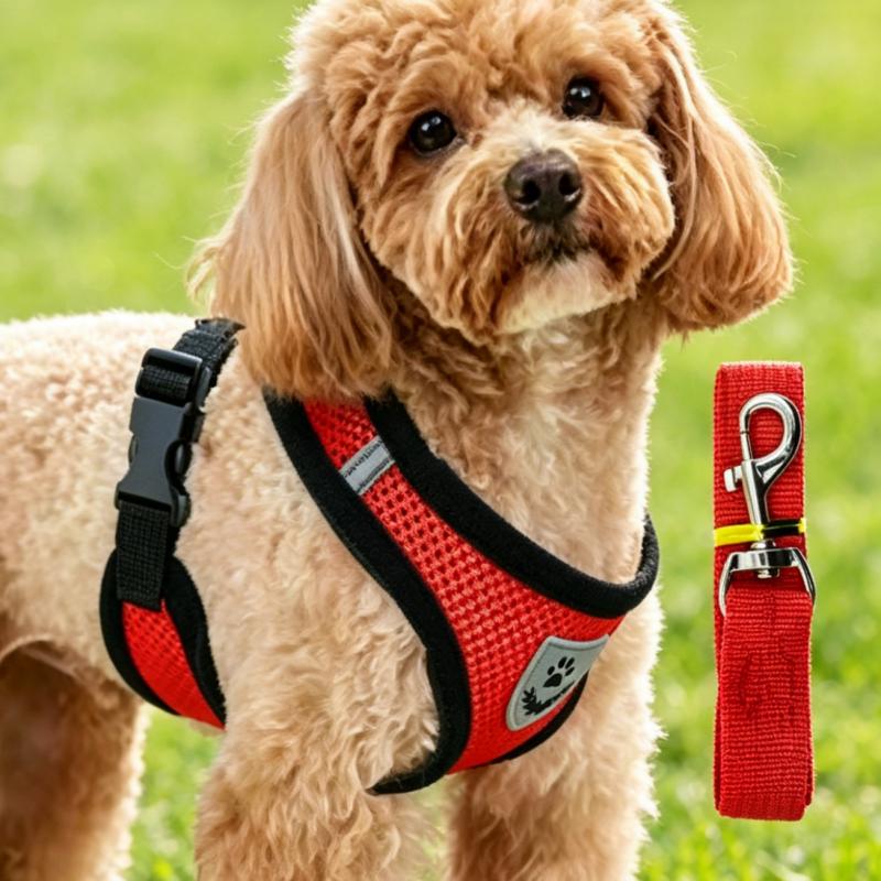 Pet Chest Back Small Dog Leash Summer Breathable Puppy Walking Chest Back Set Cat Outdoor Traction Rope Collar For Dogs Supplies