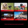 Insta360 Ace Pro 2 Flagship Action Camera (CN version)