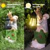 Outdoor Garden Gnomes Resin Solar Lantern Yard Gnomes Outdoor Statues Funny Sculptures Figurine Outdoor Decor Lawn Ornaments For