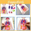 DIY Menschliche Organerkennung Vliesstoff Lehrmaterial-Set für Kinder Wissenschaftsexperiment Materialset