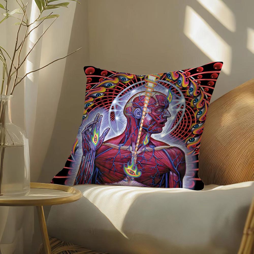 A-Alex G-Grey Trippy Cushion Cover Soft Short Plush Pillow Cover Smooth Cozy Texture Aesthetic Cushion Case Home Decor