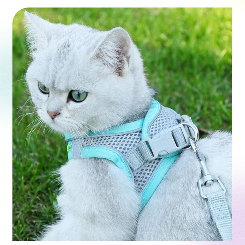 Reflective Pet Chest Strap Breathable Dogs Vest Harness with Leash Adjustable Puppy Walking Lead for Chihuahua French Bulldog