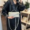 Trendy Single Shoulder Bag, Handbag, High-end Crossbody Bag