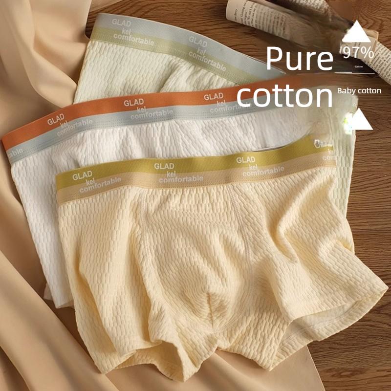 Men's Spring and Summer A Class Baby Cotton Cotton Anti Bacterial Flat Angle Underwear