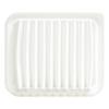 PIAA PS67 Air Filter, 1 Piece