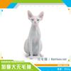 Simulation Animal Pet Cat Model Toy Canadian Hairless Cat Sphinx Cat Static Doll Ornament