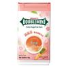 Green Arrow Sugar-Free Chewing Gum
