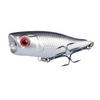 Topwater Fishing, Long Floating Surface for, Tilapia and More