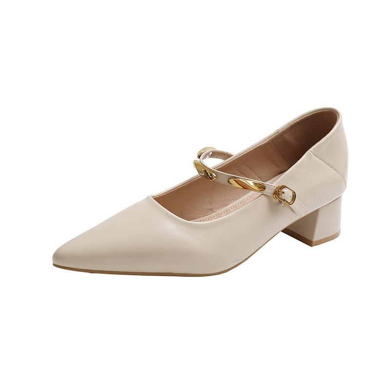 New Thick Heel Mary Jane Women's Shoes 2025 Spring and Autumn New French Pointed Metal Word with Middle Heel Single Shoes