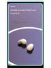 SK19 Mini Bluetooth Earphones - Ultra-Small, In-Ear, Painless Sleep Design.