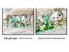 Large-Capacity Transparent Pencil Case for Girls - Souvenir Set