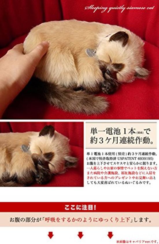Ninian and Kino Perfect Pet Siamese Cat Plush Perfect Cute Cat Stuffed Animal (Small) Toy, Realistic, Lifelike, Animal, Soothing, Moving, Gift,