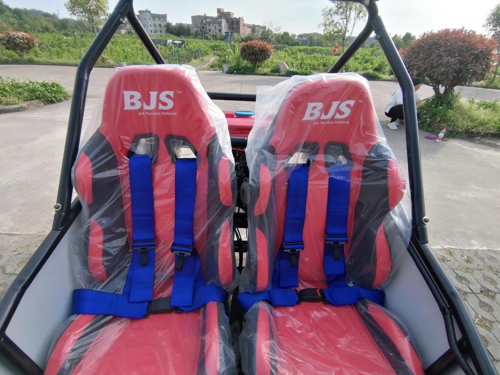 Arctic Sky BJS200 F1 Off-Road Go-Kart: Four-Wheel Independent Suspension, Drive Shaft UTV
