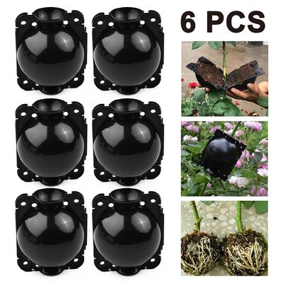 6 STÜCKE Botanik Pflanze Verwurzelung Wurzel Gerät Druck Ausbreitung Ball Box Pfropfen Garten Pflanzen Liefert Zubehör