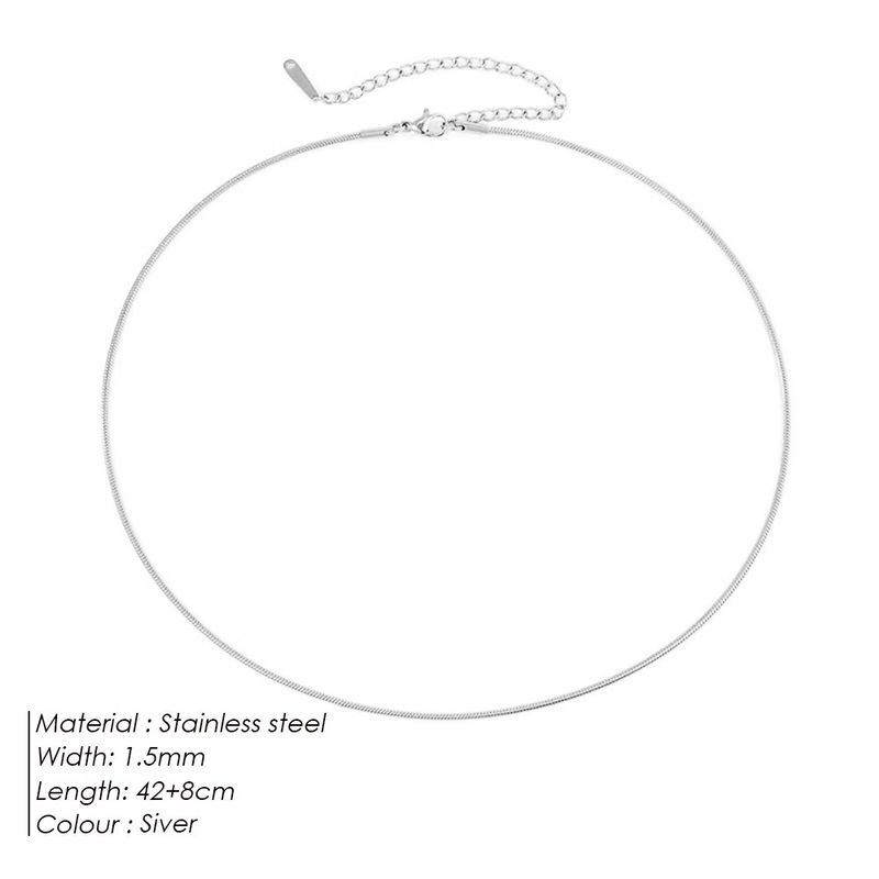 Steel Necklace Round Snake Chain for Women Simple Light Luxury Plain Chain Couple Clavicle Chain European and American Fashion Snake Bone Chain