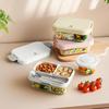 CAMUZ Hitzebeständige Glas-Lunchbox