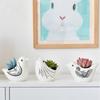 Cute Bird Flower Pot Ceramics Succulent Pot Planter Home Decor Indoor Decoration Desktop Ornaments Bonsai Plant Pot