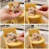 Hamster Dining Chair, 3D Printed Mini Pet Seat, Cute Furniture for Sugar Glider, Rat Cage Decor Accessory