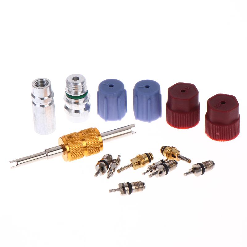 Kit de 17 Piezas de Vástagos de Válvula Schrader de Refrigeración R12 R134A para Coche, Tapas de Sellado para Puerto de Servicio y Carga, Núcleos de Válvula de Aire Acondicionado