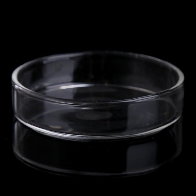 Shrimp Feeder Dish Clear Acrylic Bowls 2.4" x 0.6" Round Tray Aquarium Bowl