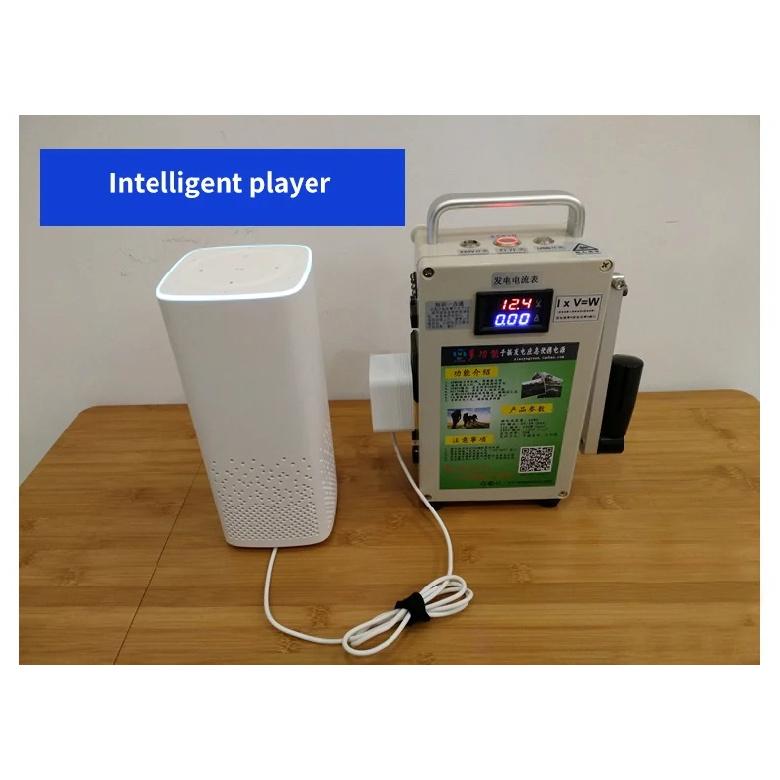 Hand Crank Generator DC12V Lighting USB Mobile Phone Charging Treasure High Power 220V Large Capacity Outdoor Manual Generator
