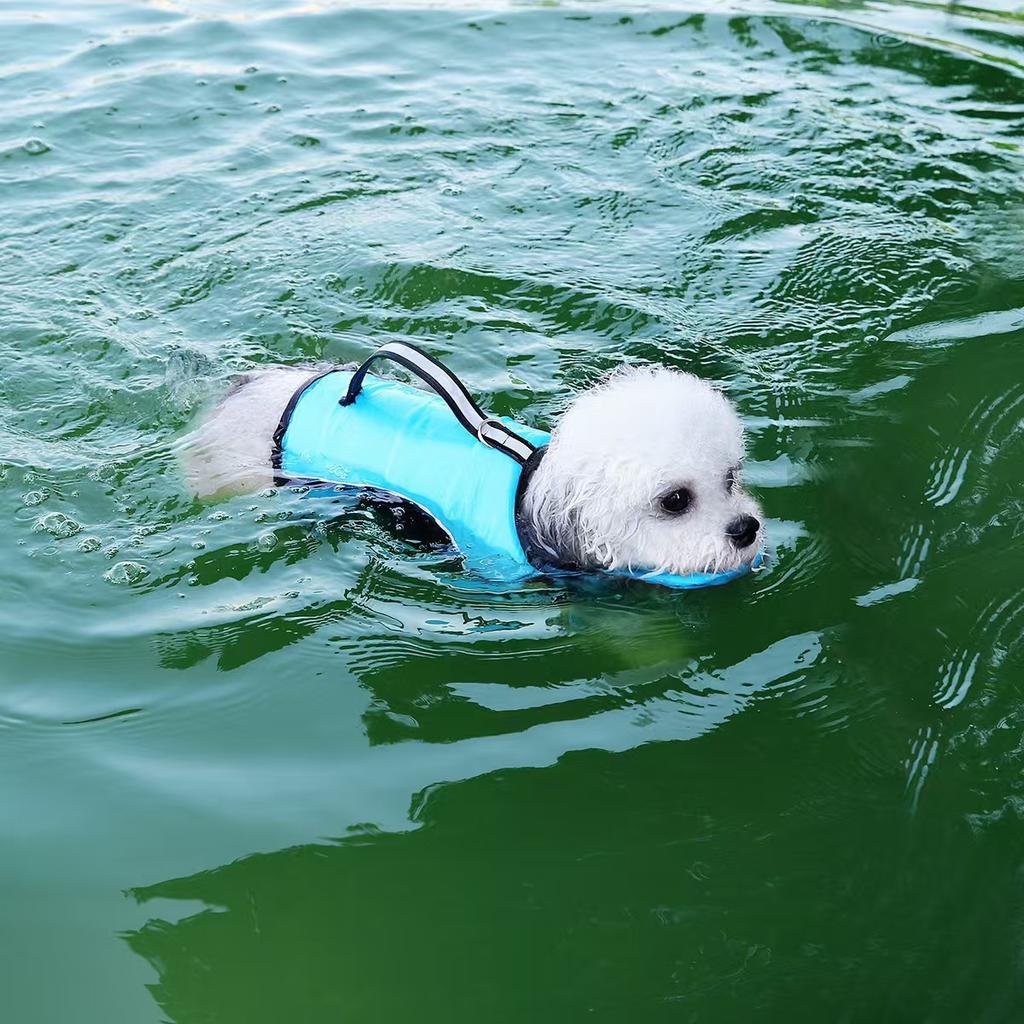 Roupa de Natação para Cães Treinamento de Natação Roupa de Banho Gato Cachorro Quatro Estações Universal Roupa de Banho Com Cordão Colete Salva-Vidas Roupas para Filhotes