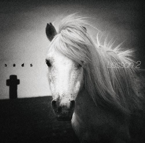 

CD SADS - Lesson 2 (Jacket A) AVCD38208B Avex Trax 2010 Japan ObiRock Used