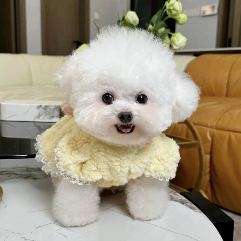 Pet Cotton Skirt Teddy Bichon VIP Yorkshire Maltese Small Dog Cat Dog Clothes Autumn And Winter Clothing