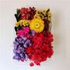 Kit DIY Fleur Éternelle: Cadre photo de fleurs séchées, éventail rond, bouteille flottante, composition florale réelle pour la décoration du salon ou de la maternelle.