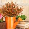 Autumn Color Persian Grass Artificial Flower for Wedding Decor